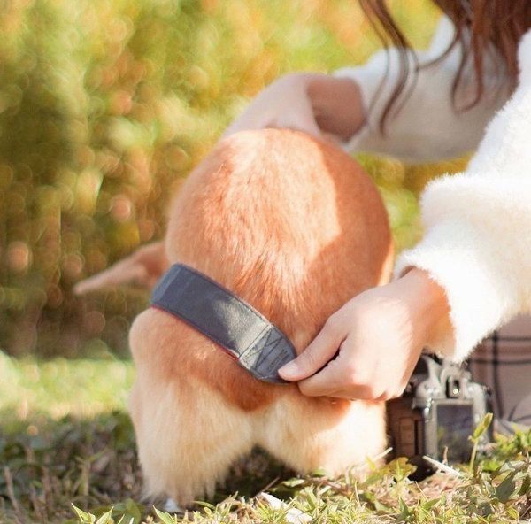 カメラの紐に絡まるりんちゃん