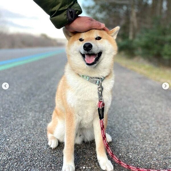 笑顔が可愛い福丸くん