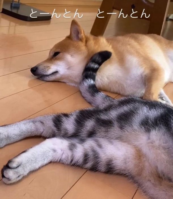 首元もトントン