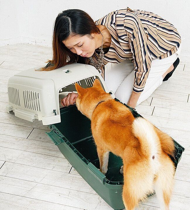 屋根をちょっとだけかぶせてみましょう