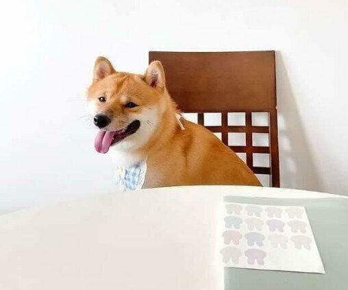 表情豊かなとらちゃん