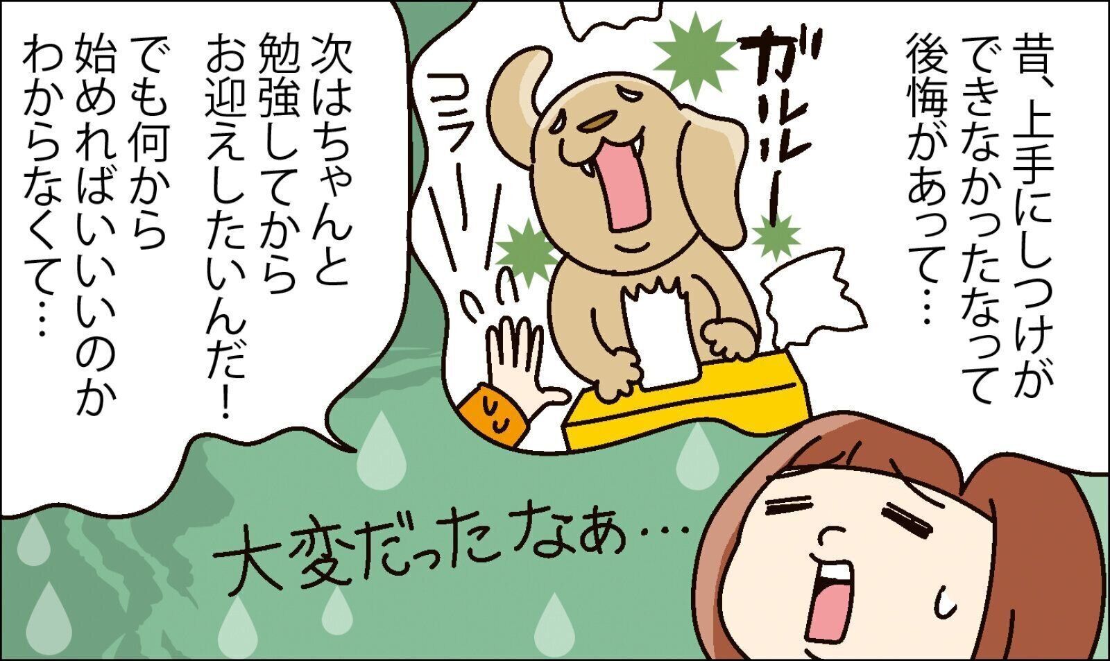 愛玩動物飼養管理士　犬　いぬ　いぬのきもち　資格　日本愛玩動物協会　