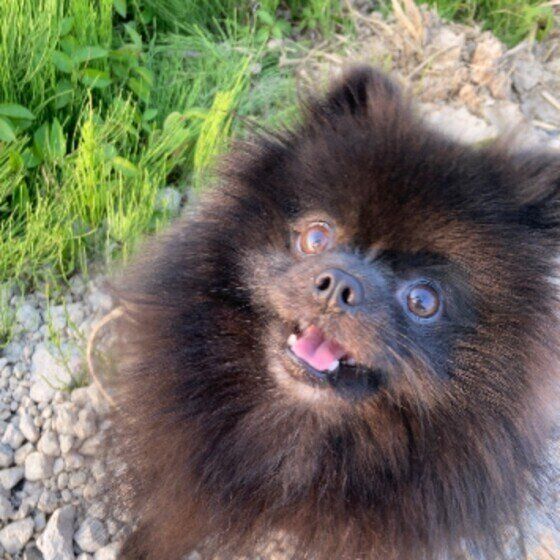 キラキラした瞳でおやつを見つめるこぐくん