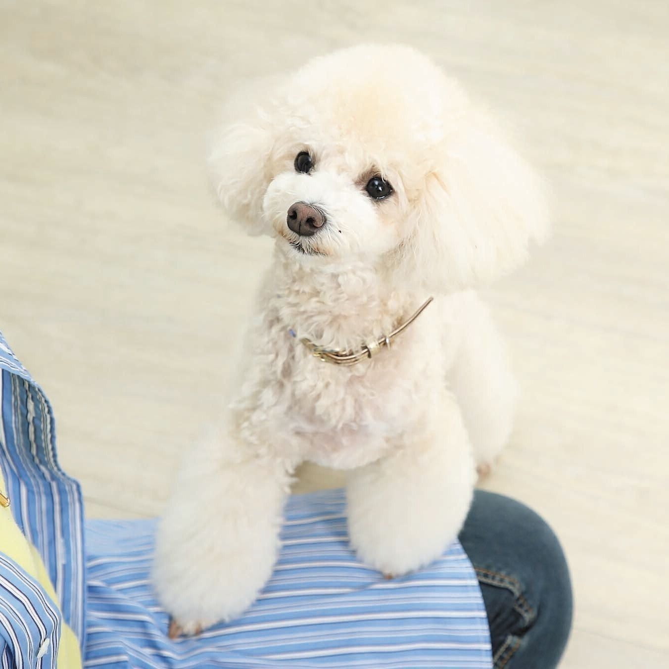 撮影／尾﨑たまき