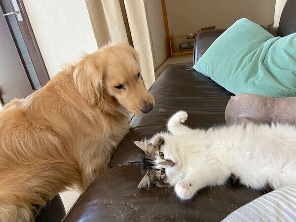 さんちゃんを見つめるまるくん