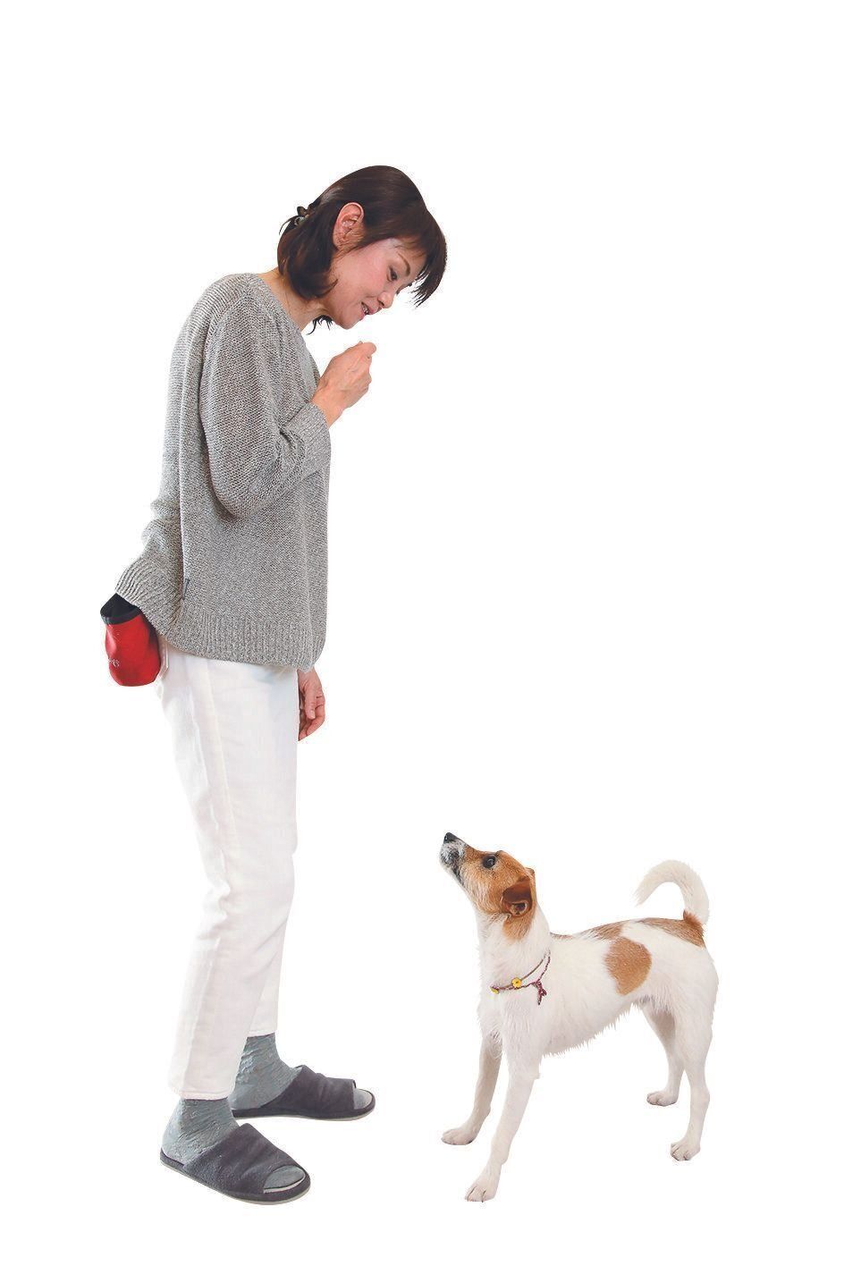 撮影／尾﨑たまき