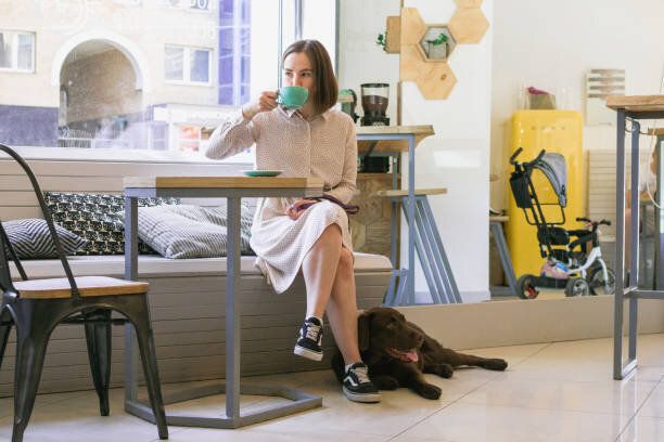 ドッグカフェでコーヒーを飲む飼い主とラブラドールレトリバー