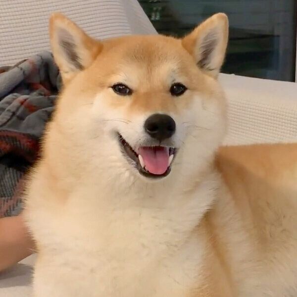 笑顔の味噌ちゃん