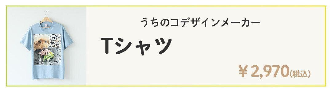 Tシャツの詳細を見る
