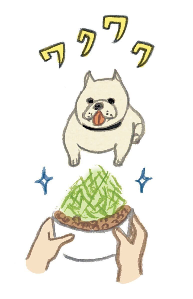 ささいなことと思っても 実はシニア犬の内臓にダメージを与えているかも お世話のng例とは いぬのきもちweb Magazine