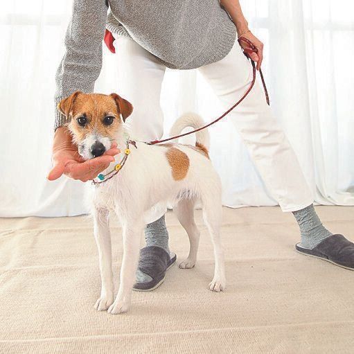 撮影/尾﨑たまき