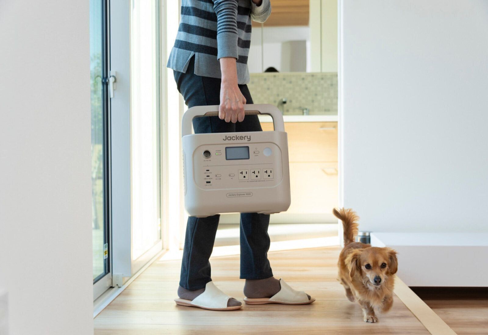 Jackery Japan　ジャクリ　ポータブル電源　犬　在宅避難　自宅避難　キャンプ　アウトドア　ソーラーパネル