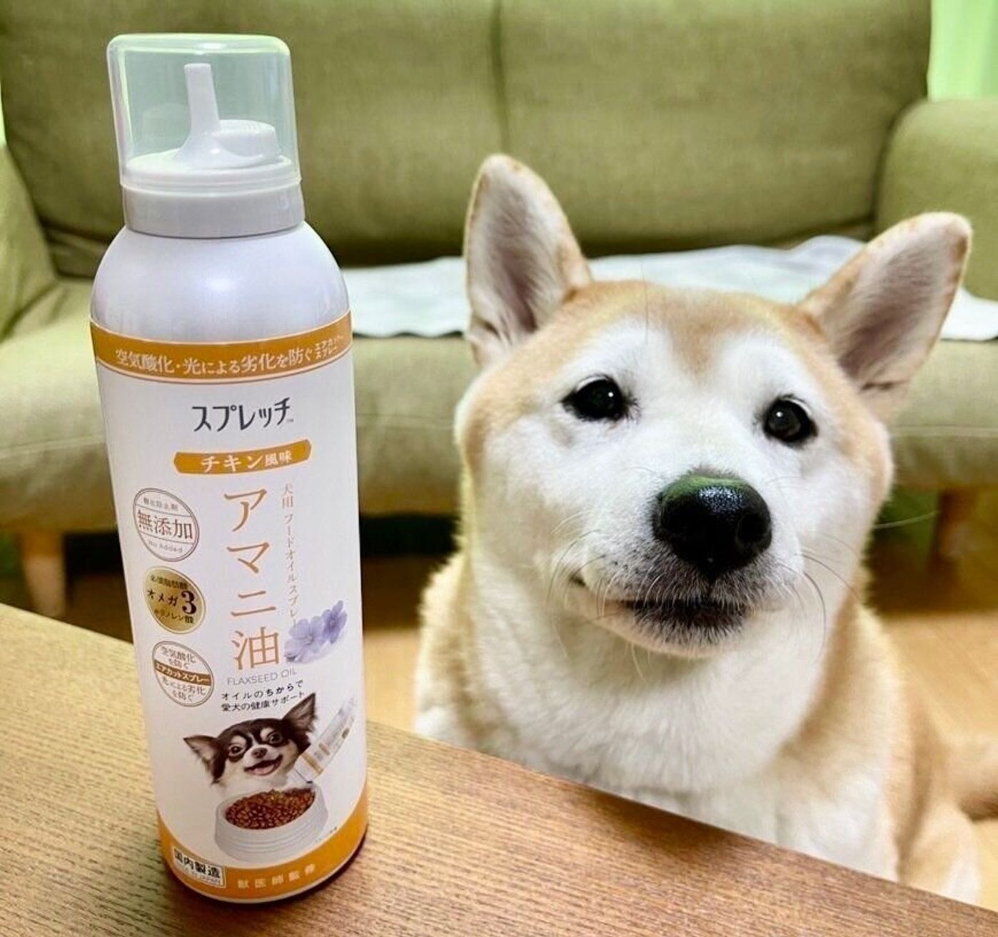 Pr 毎日1回フードにかけるだけで健康維持 うちのコにあげられる アマニ油 いぬのきもちweb Magazine Pr 毎日1回フードにかけるだけで健康維持 うちのコにあげられる アマニ油 いぬのきもちweb Magazine