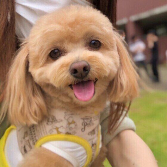 笑顔がかわいいチョコちゃん