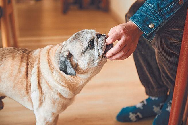 「何も持っていなくても『はい、こぶし』って手を出すとパクッとするのがかわいくて、ついやっちゃいます。はい、こぶし」