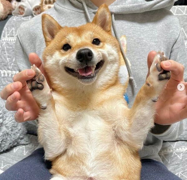 笑顔のうにくん