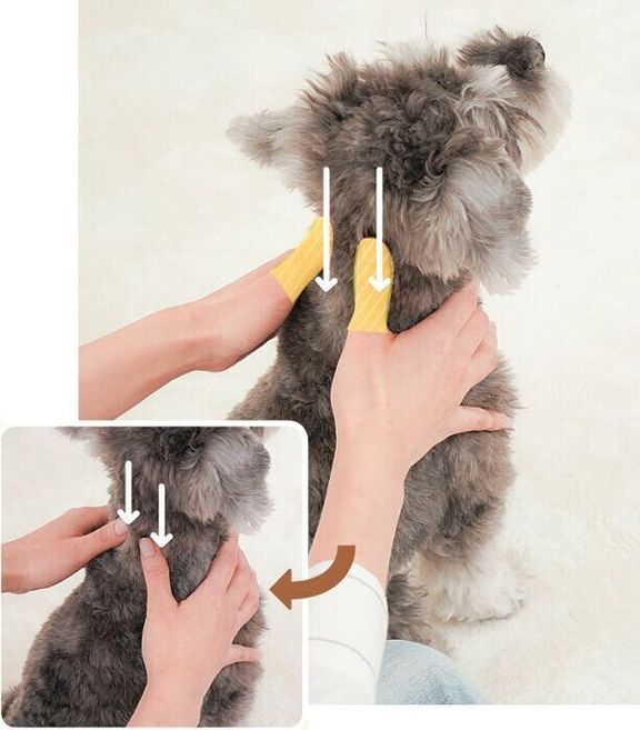 ゆっくりと下におろす