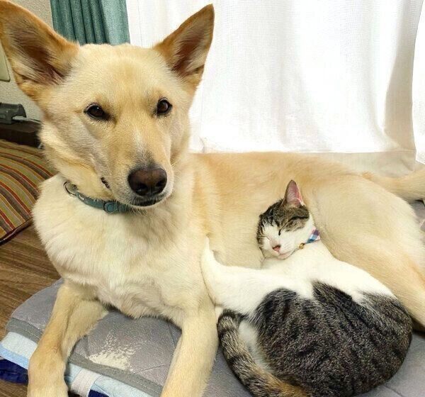 仲良しなくるりちゃんとななちゃん