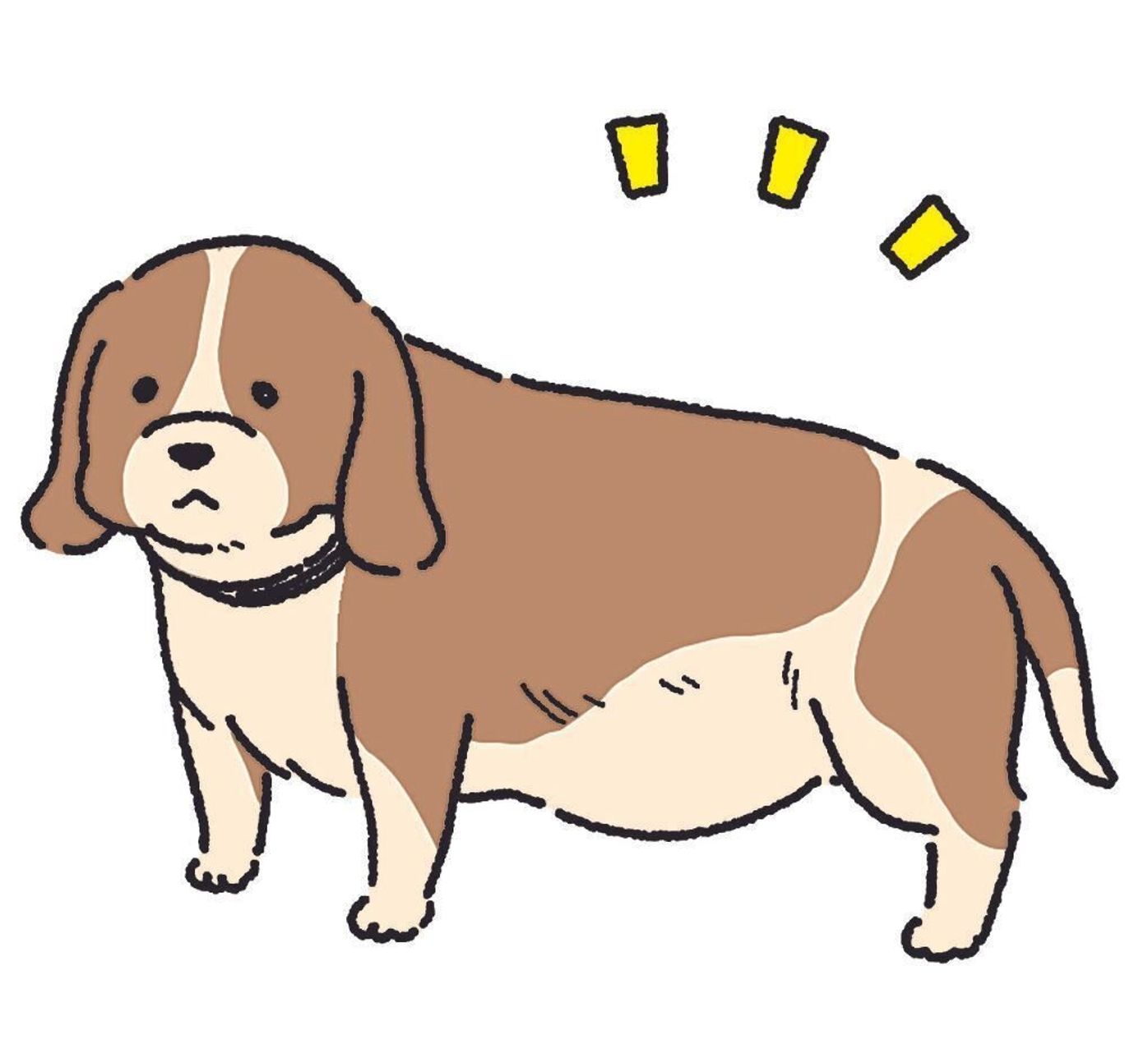 犬が階段を嫌がる 散歩を嫌がる もしかしたら 慢性痛 のサインかも いぬのきもちweb Magazine 犬が階段を嫌がる 散歩を嫌がる もしかしたら 慢性痛 のサインかも いぬのきもちweb Magazine