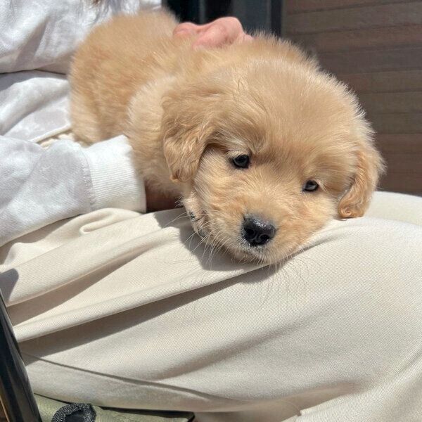 日向ぼっこをするそらくん