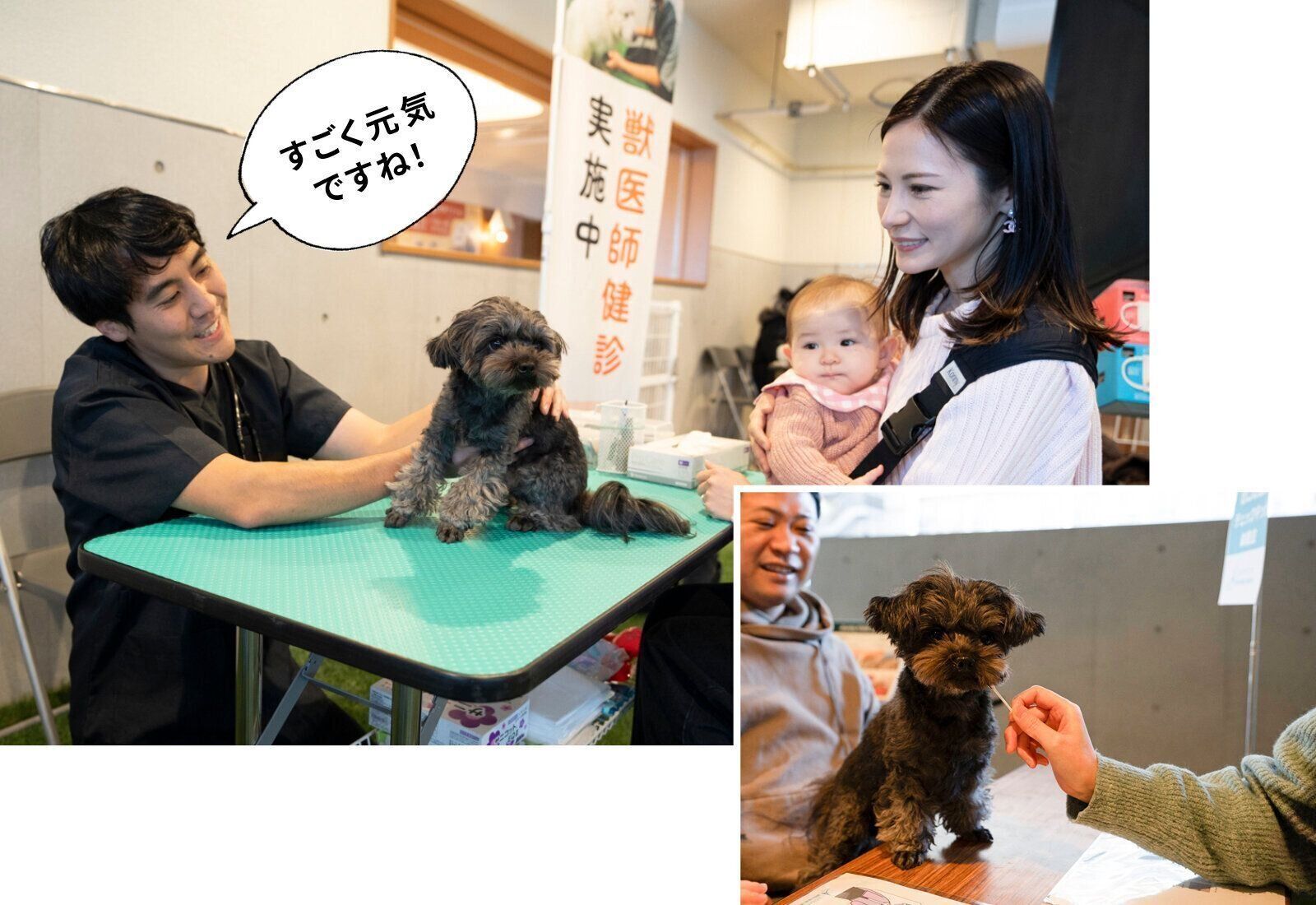 フジタ　大和リビング　リーラ横浜川和町　月次健診　犬猫合わせて4頭　マンション　賃貸マンション　ペット共生型マンション　いぬのきもち　いぬ　