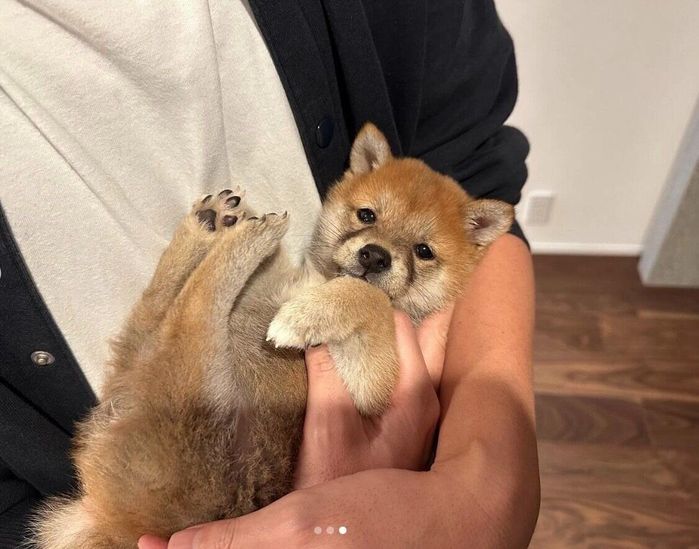 おしり拭き中のたまごちゃん