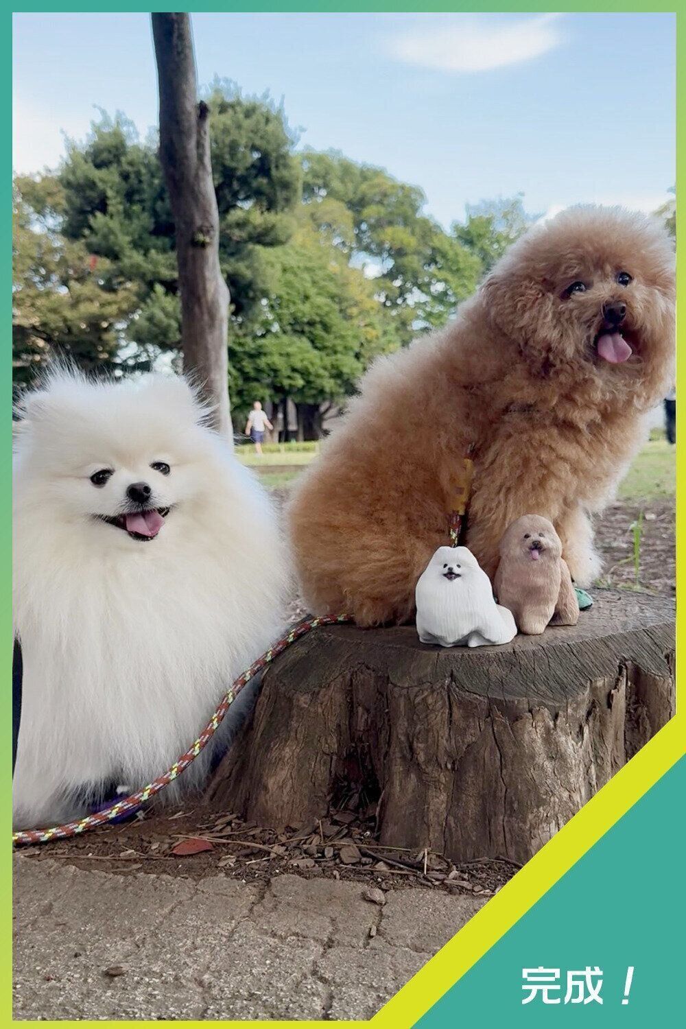 ぽめ太くんとぷー子ちゃんはいっしょにお散歩に…♪