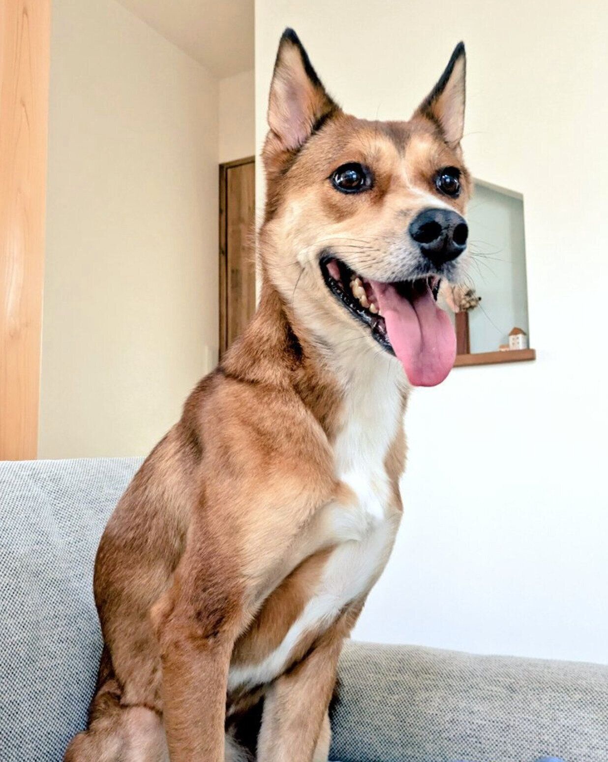 ニコニコ顔のカンタくん