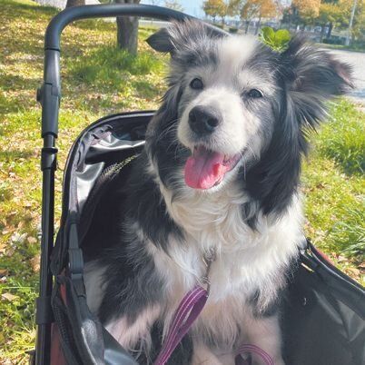 トレードマークの〝ニコニコ笑顔〞　