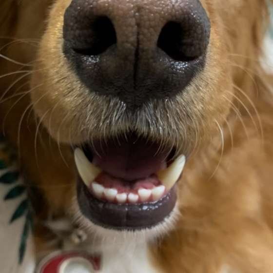 Ｍｉｘのチビくん