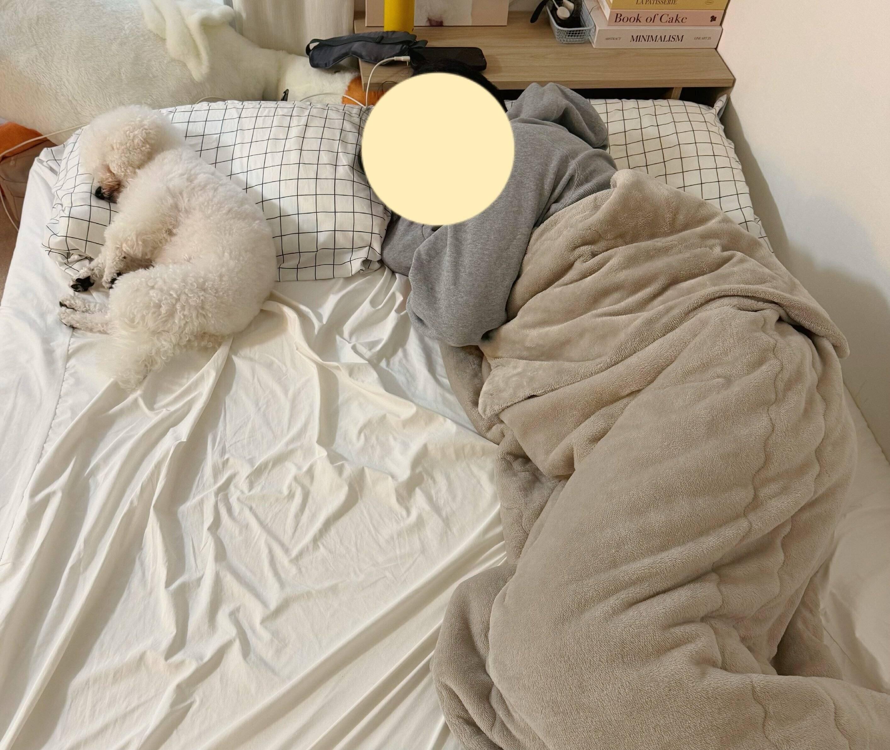 枕を使って人のように眠るつくねちゃん。