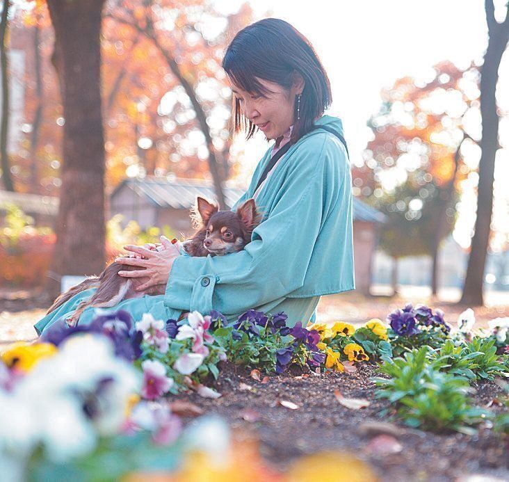 散歩が大好きなタルトくん。外の風を受けて、相原さんに甘えているときが至福の時間