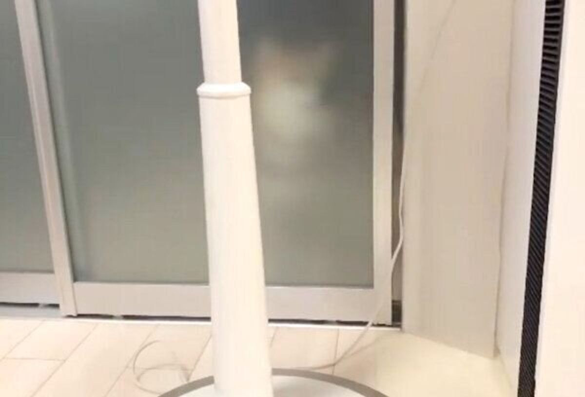 天才なのでは 自分でドアを開けて中に入る豆柴 さらに 賢い行動 を見せて驚き いぬのきもちweb Magazine 天才なのでは 自分でドアを開けて中に入る豆柴 さらに 賢い行動 を見せて驚き いぬのきもちweb Magazine