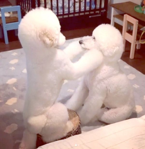 りっくんの肩に手を置くがっくん