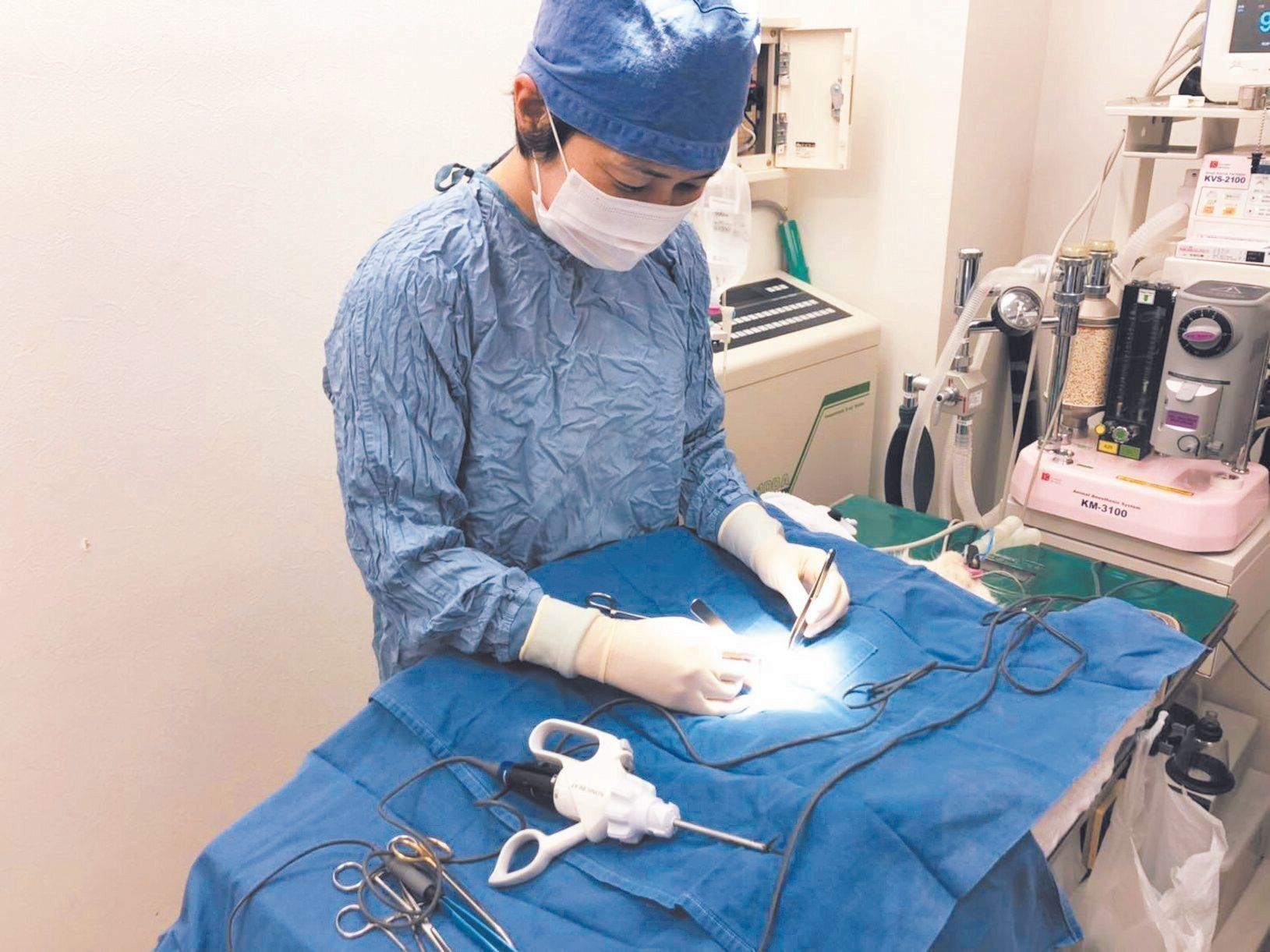 動物愛護を推進する獣医師として、不幸な命を増やさないよう、譲渡前の犬猫には必ず避妊・去勢手術をします