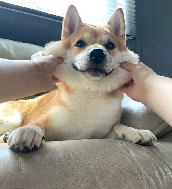 ほっぺがモチモチの雷吾くん