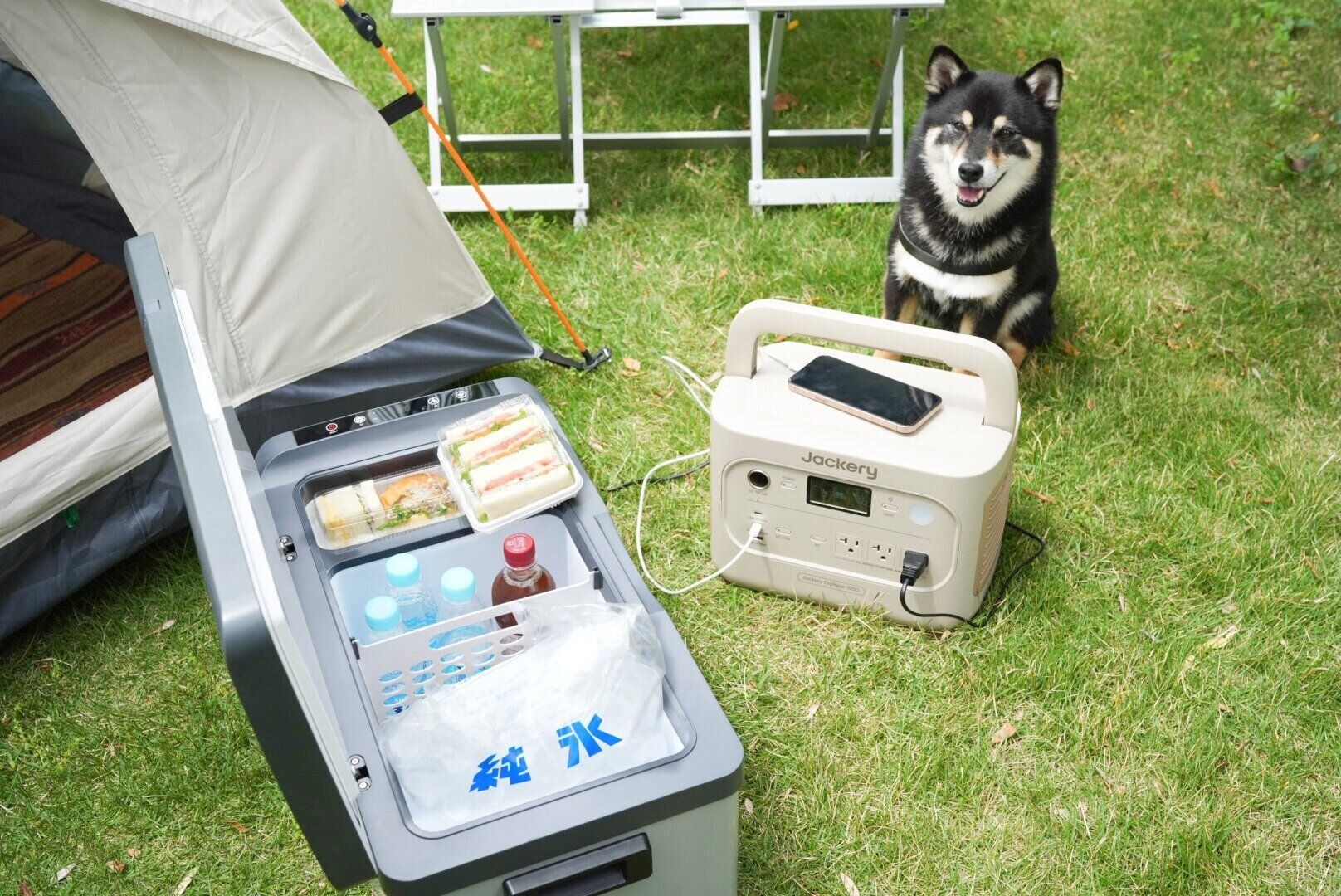 犬とお出かけ　キャンプ　ドッグラン　愛犬の酷暑対策　暑さ対策　　Jackery　ジャクリ　ポータブル電源　冷蔵庫