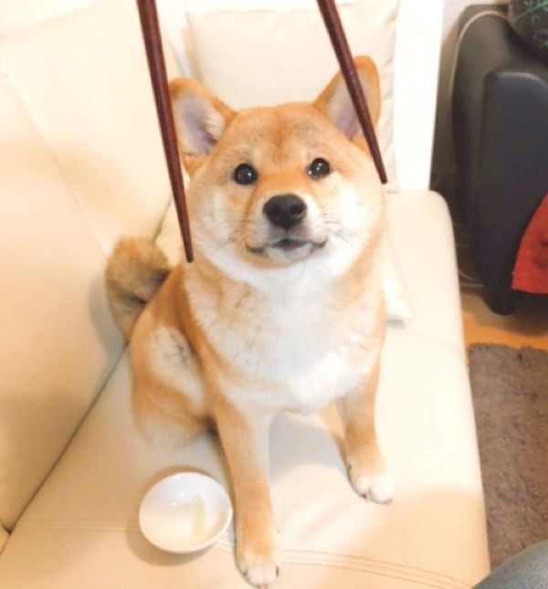 見つめるタッちゃん