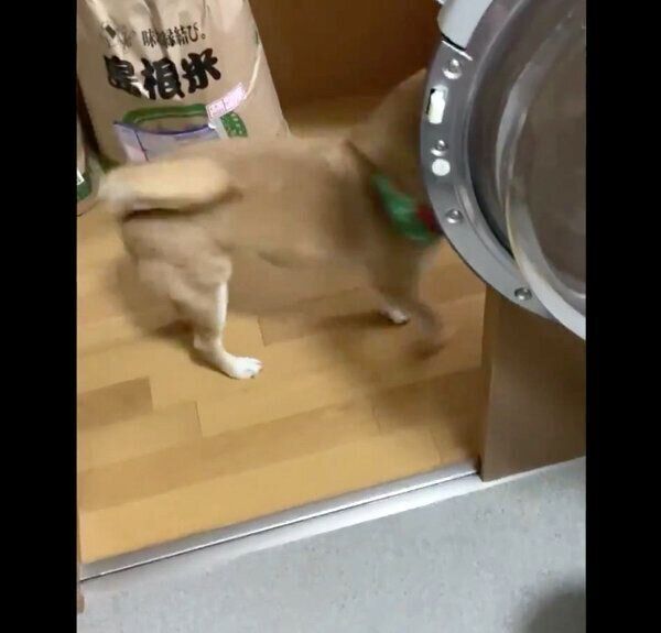 立ち去るすずちゃん