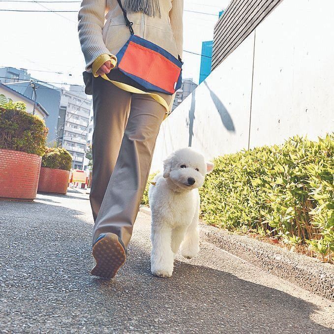 散歩を短時間ですませて