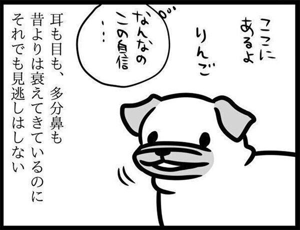いぬのきもちWEB MAGAZINE『あるのはわかってるよ|連載「パグ犬・めー」vol.33』