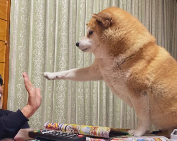 おじいちゃんと「ハイタッチ」するエマちゃん