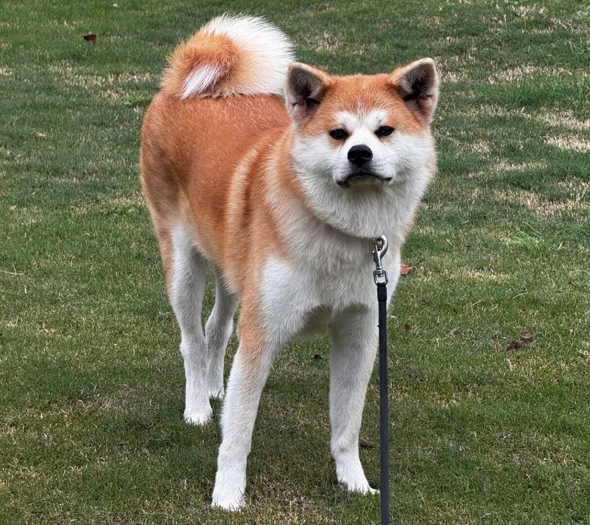 現在の来未ちゃん