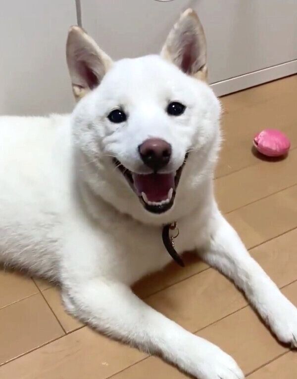 笑顔の雪海ちゃん