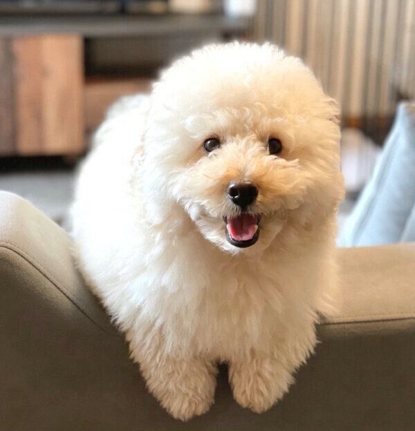 わくわくした表情をするぺんたくん