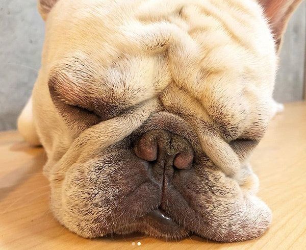 三郎くんのタフタフ