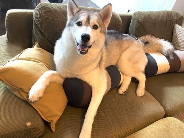 笑顔が可愛い百福ちゃん