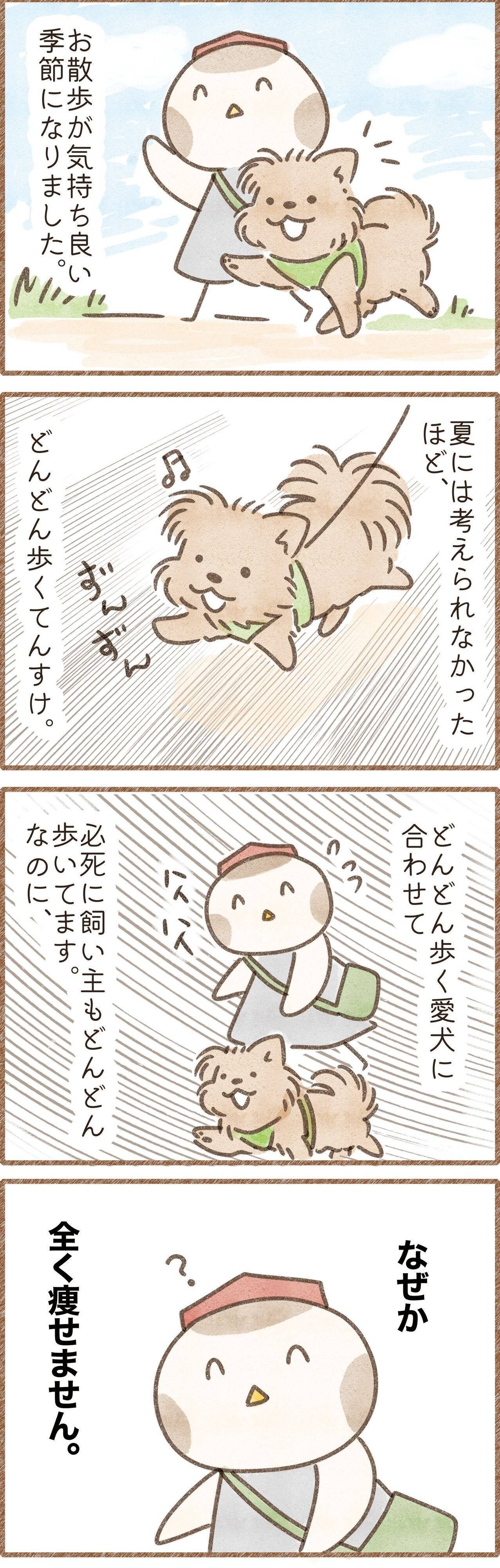 犬の散歩に行ってるのに全然痩せない飼い主の謎の漫画