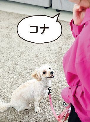 撮影／尾﨑たまき