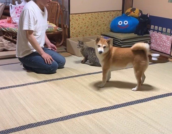 みんなでお遊び